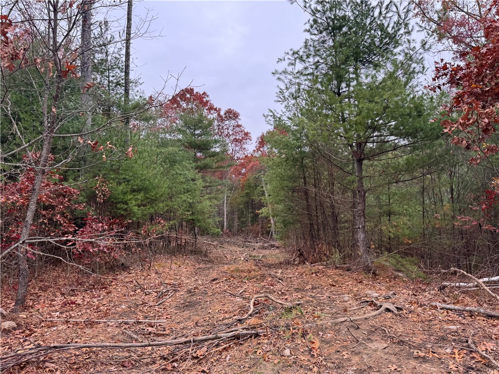 0 Steere Farm Road Burrillville, RI 02830 - Photo 15 of 18