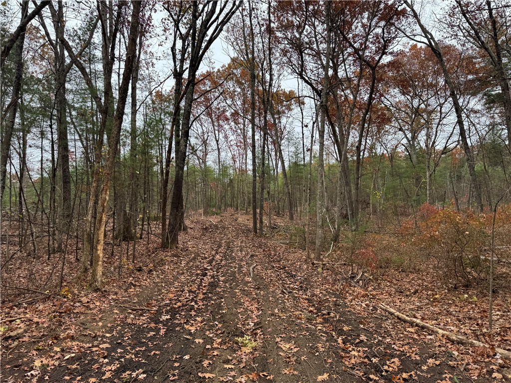 0 Steere Farm Road Burrillville, RI 02830 - Photo 4 of 16