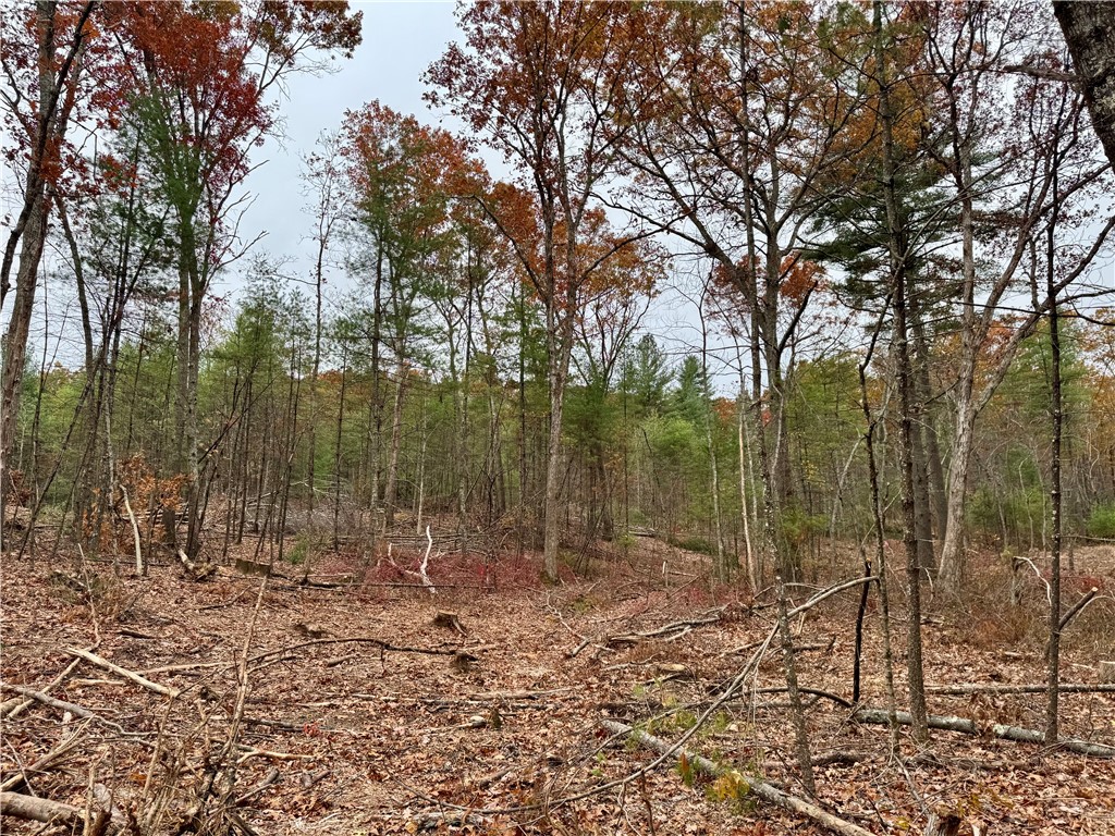 0 Steere Farm Road Burrillville, RI 02830 - Photo 4 of 18