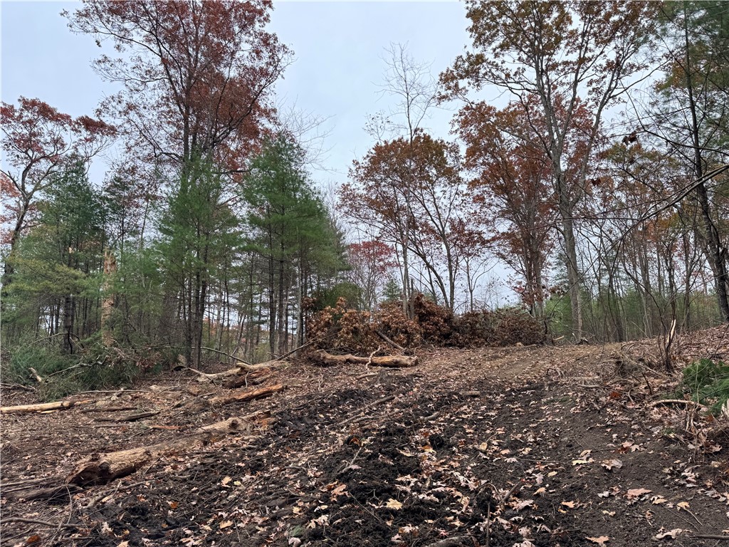 0 Steere Farm Road Burrillville, RI 02830 - Photo 6 of 16