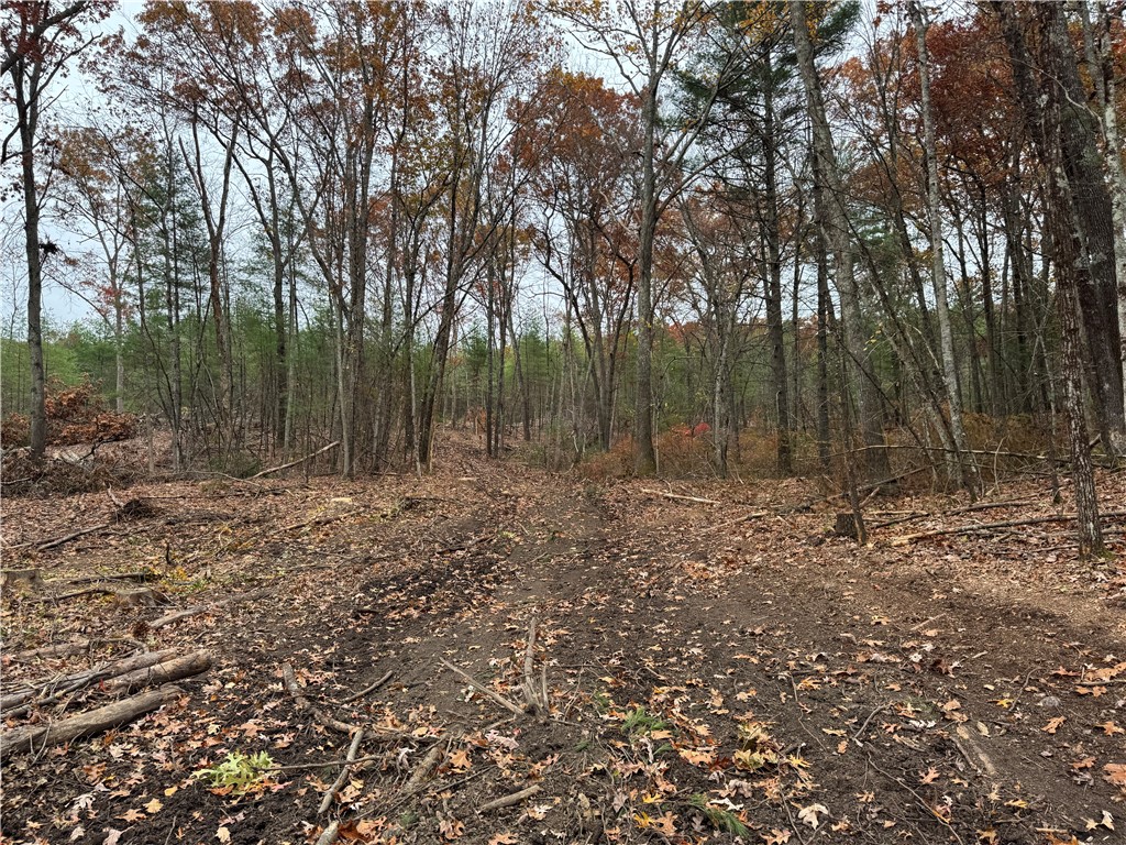 0 Steere Farm Road Burrillville, RI 02830 - Photo 6 of 18