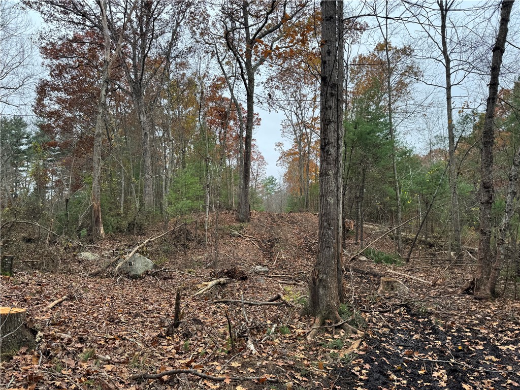 0 Steere Farm Road Burrillville, RI 02830 - Photo 7 of 16