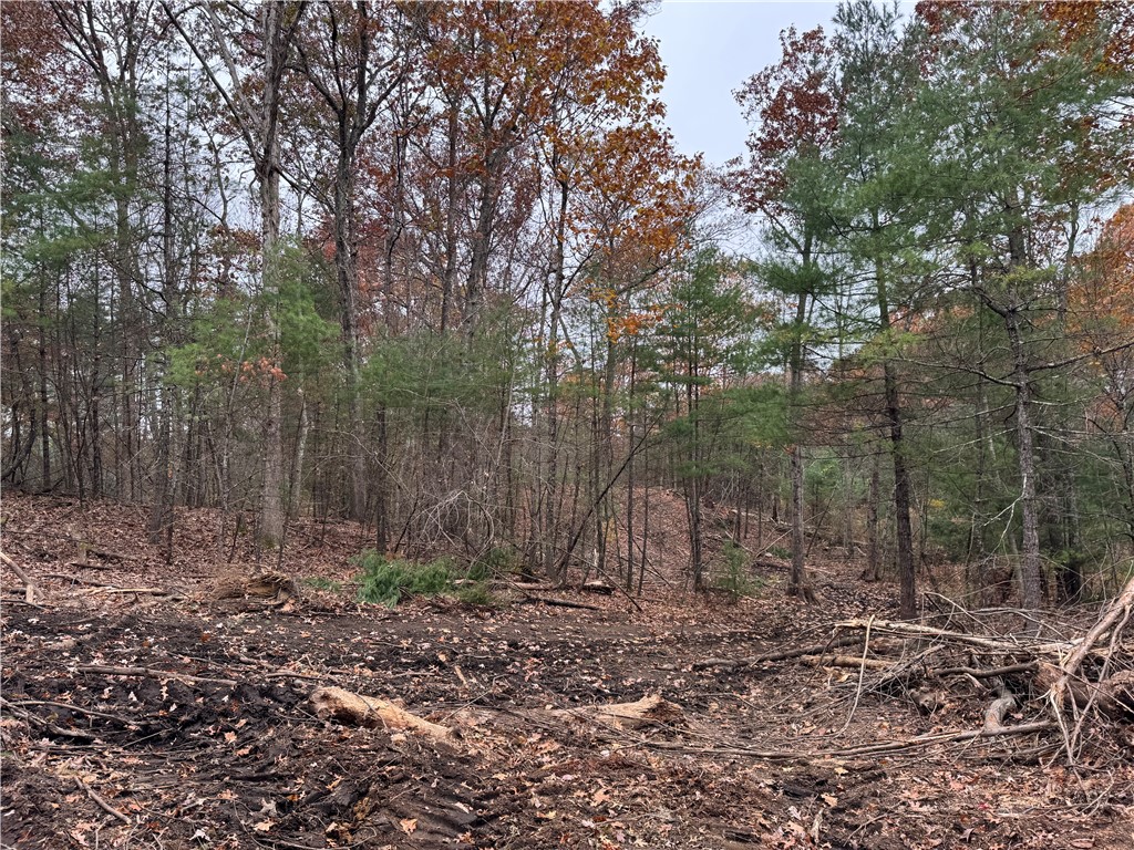 0 Steere Farm Road Burrillville, RI 02830 - Photo 9 of 18