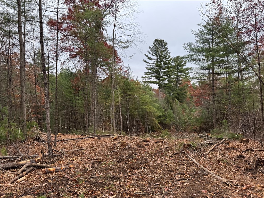 0 Steere Farm Road Burrillville, RI 02830 - Photo 10 of 16