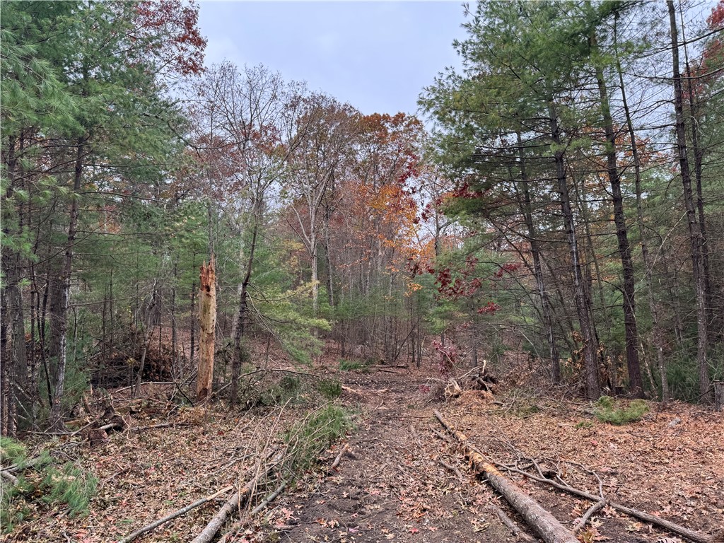 0 Steere Farm Road Burrillville, RI 02830 - Photo 10 of 18