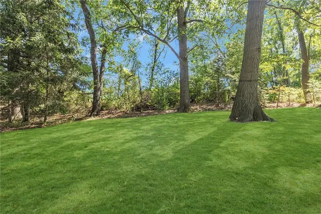 a view of a backyard with large trees