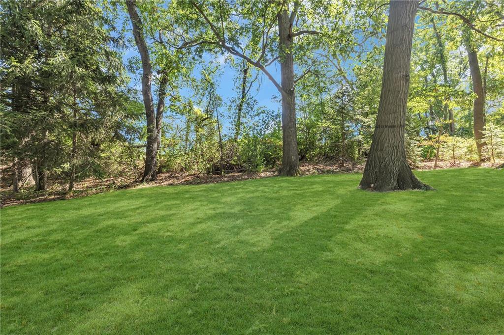 111 Truman Street Monaca, PA 15061 - Photo 21 of 23 a view of a backyard with large trees