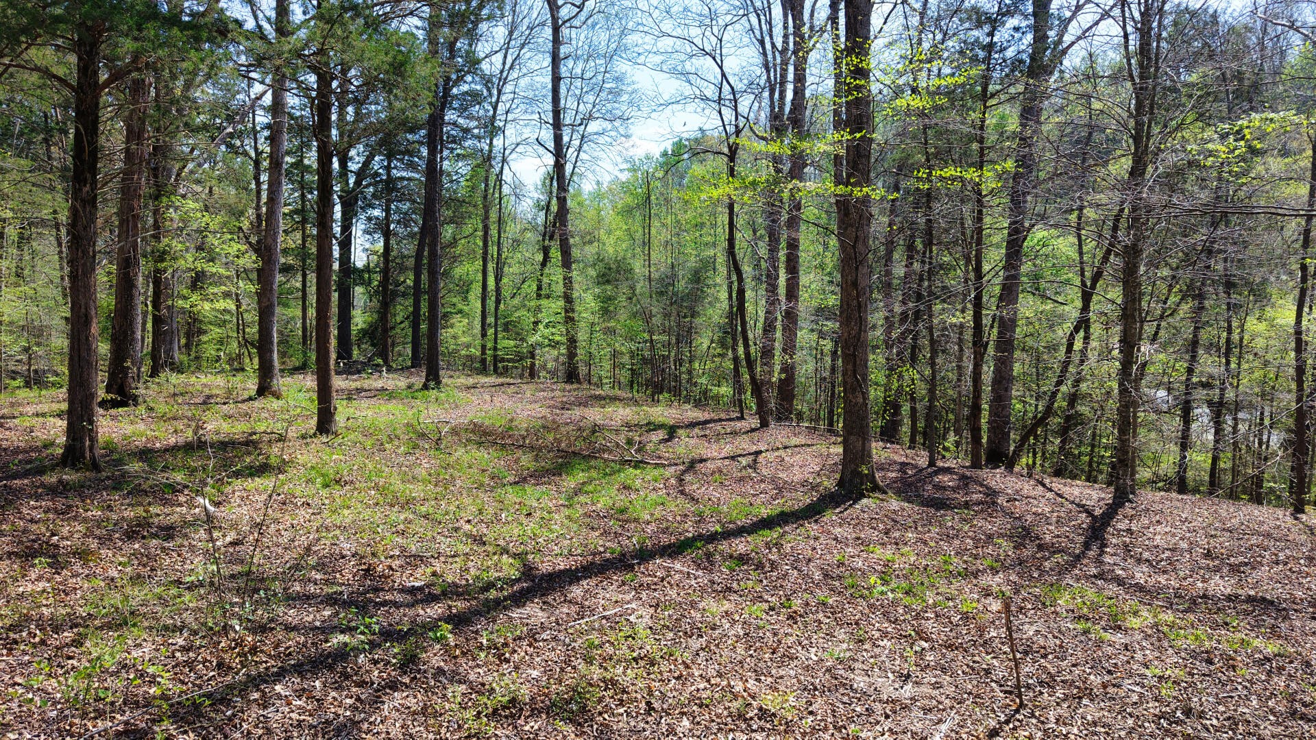0 Brown Hollow Road Lyles, TN 37098 - Photo 18 of 24