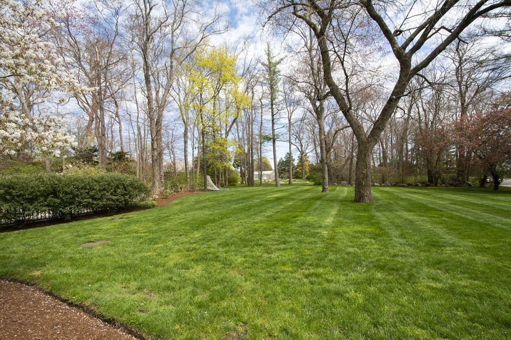 10 River Road Cohasset, MA 02025 - Photo 41 of 42 a huge green field with lots of trees