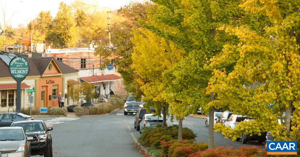 143 Junction Lane Charlottesville, VA 22902 - Photo 24 of 26 a view of a patio with swimming pool
