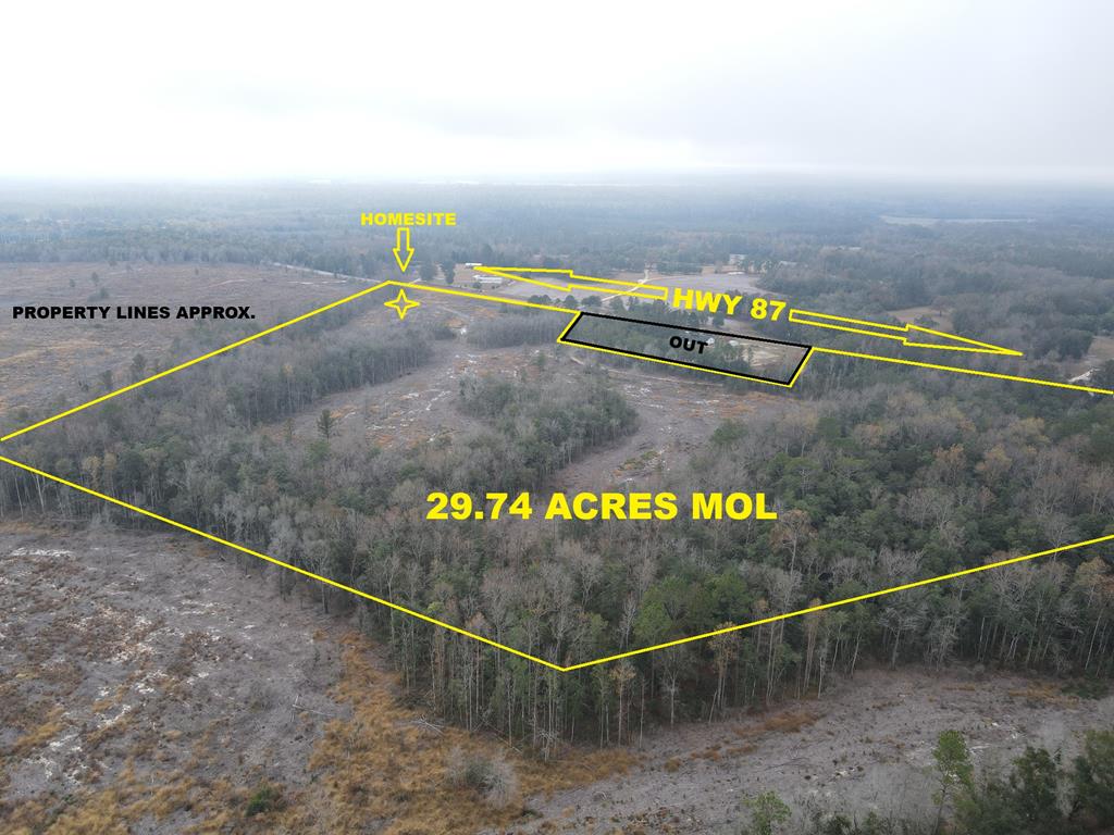 87 Highway 87 Samson, AL 36477 - Photo 1 of 47