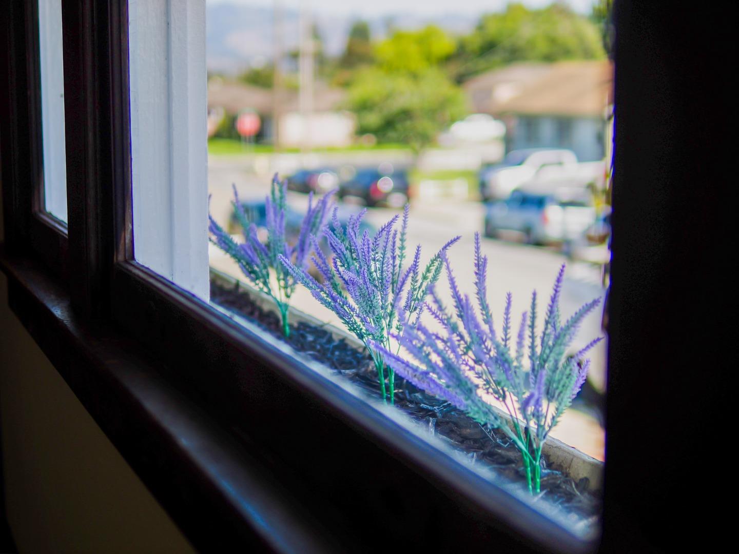 441 Center Street Watsonville, CA 95076 - Photo 21 of 42