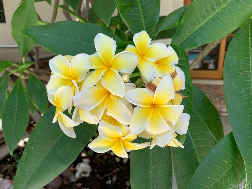 19446 Mayall Street Northridge, CA 91324 - Photo 27 of 32