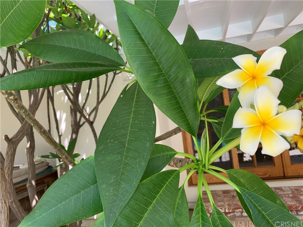 19446 Mayall Street Northridge, CA 91324 - Photo 28 of 32