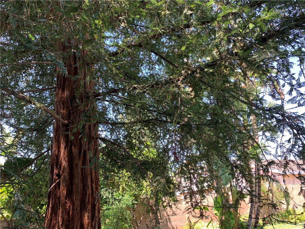 19446 Mayall Street Northridge, CA 91324 - Photo 30 of 32