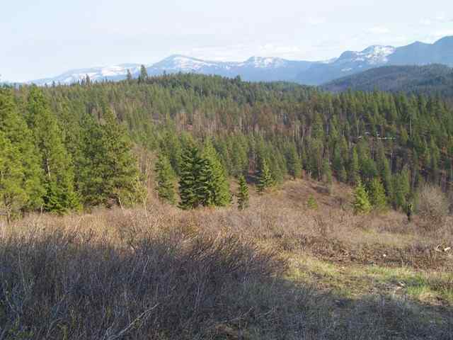 Xx North Xx N Leclerc Road Cusick, WA 99119 - Photo 1 of 6