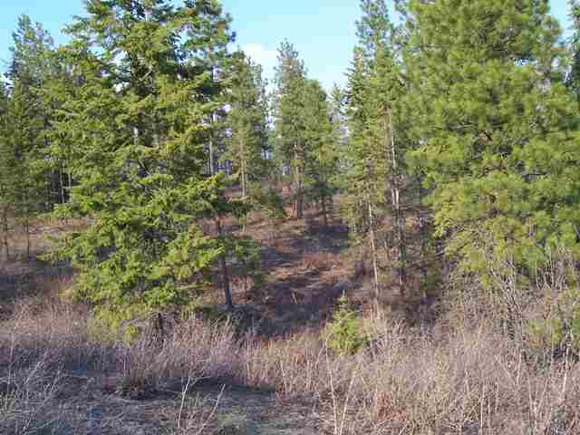 Xx North Xx N Leclerc Road Cusick, WA 99119 - Photo 2 of 6