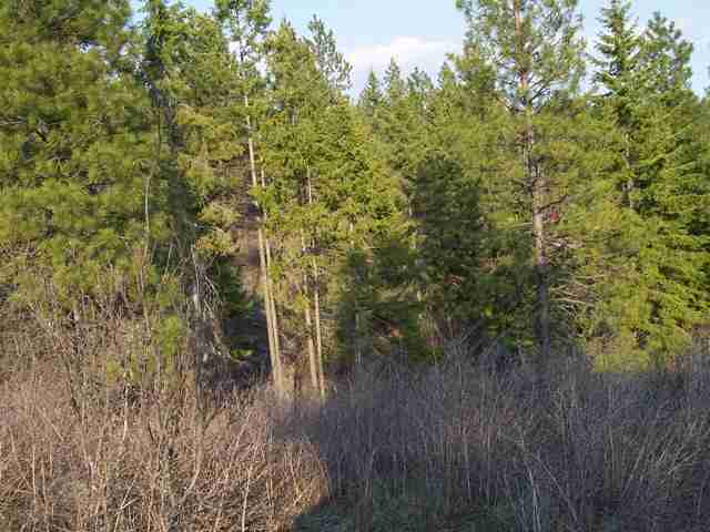 Xx North Xx N Leclerc Road Cusick, WA 99119 - Photo 3 of 6