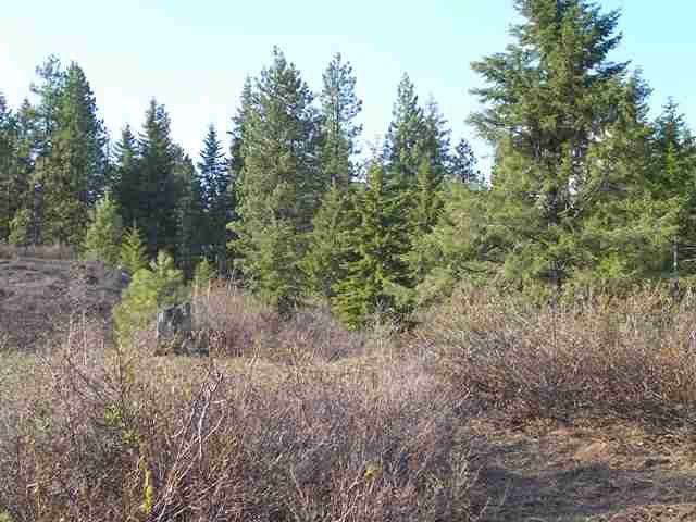 Xx North Xx N Leclerc Road Cusick, WA 99119 - Photo 4 of 6