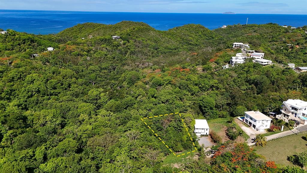 Hidden Tranquil Lot Hidden Tranquil Rincon, PR 00677 - Photo 2 of 4 Gallery Image 2