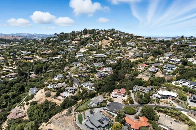 an aerial view of residential houses with outdoor space and trees