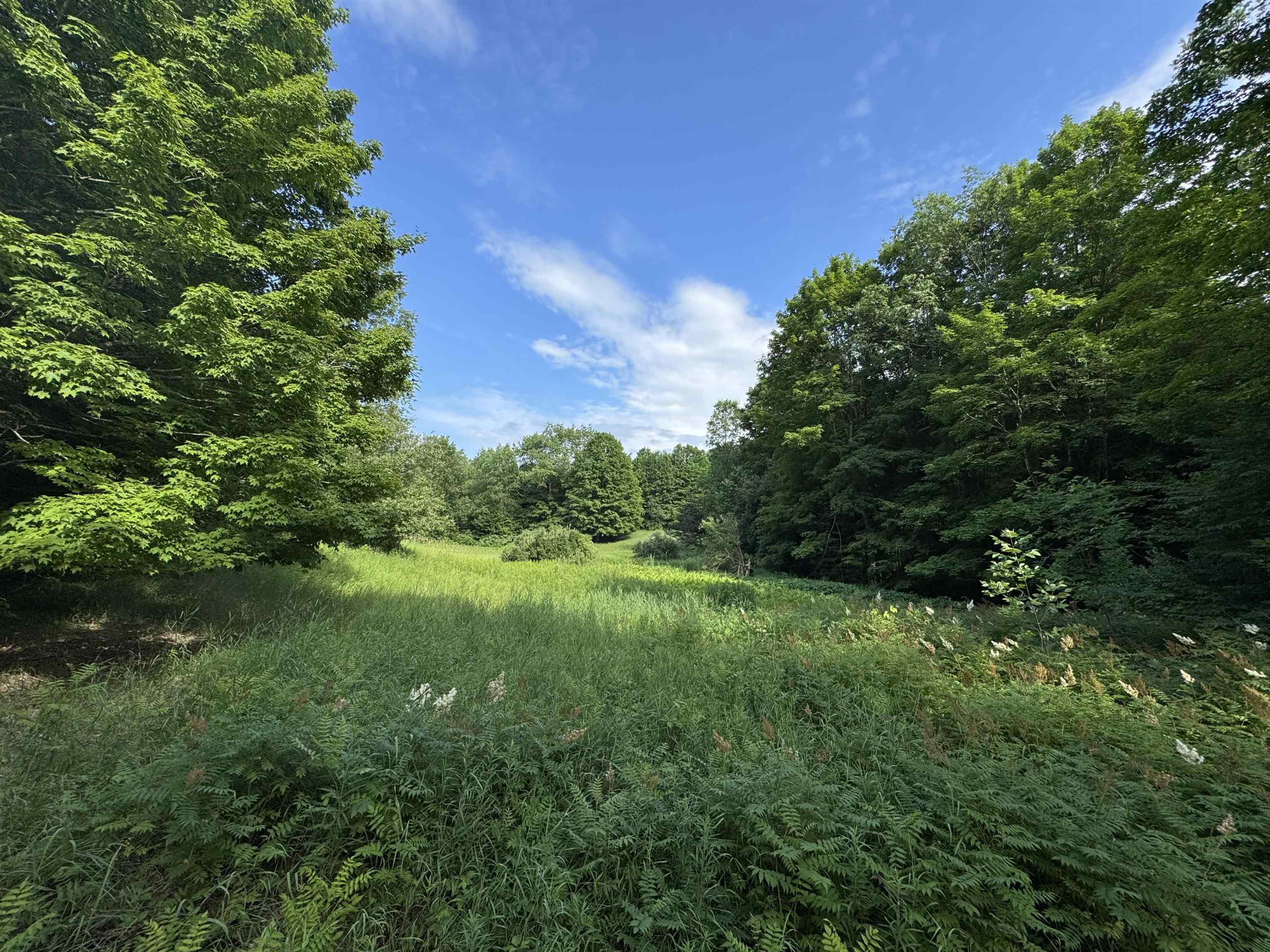 0 West Beeman Road, Unit WELLS CREEK RANCH Empire, MI 49630 - Photo 17 of 17