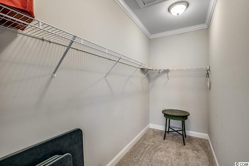 223 Hyacinth Loop Murrells Inlet, SC 29576 - Photo 21 of 36 Gallery Image 21