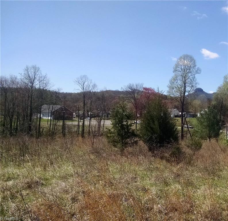 4336 North Old 52 Road Pinnacle, NC 27043 - Photo 3 of 3 Gallery Image 3