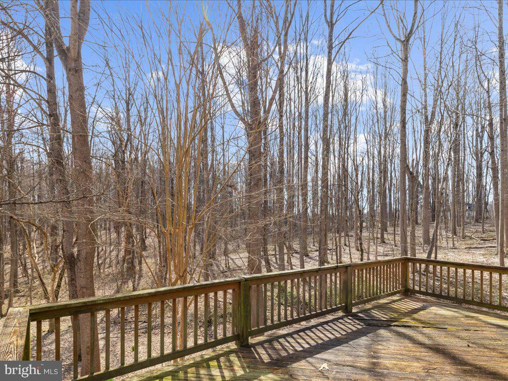5789 Greenock Road Lothian, MD 20711 - Photo 53 of 57 a view of entryway with wooden floor