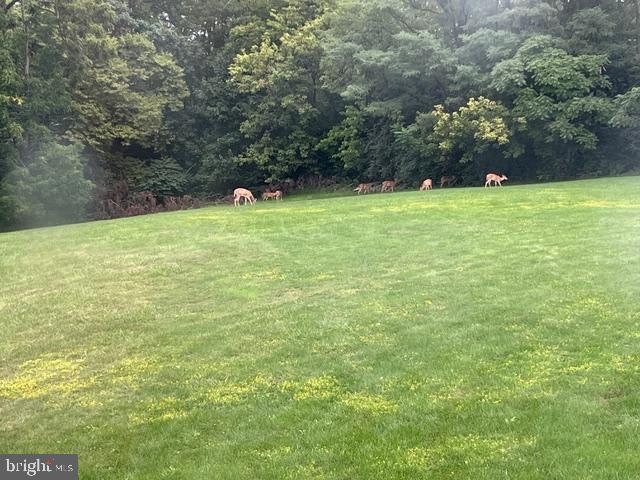 65 Campbell Road York, PA 17406 - Photo 59 of 61 Deer