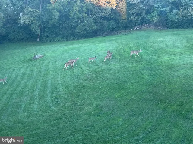 $684,000 | 65 Campbell Road, York, PA 17406