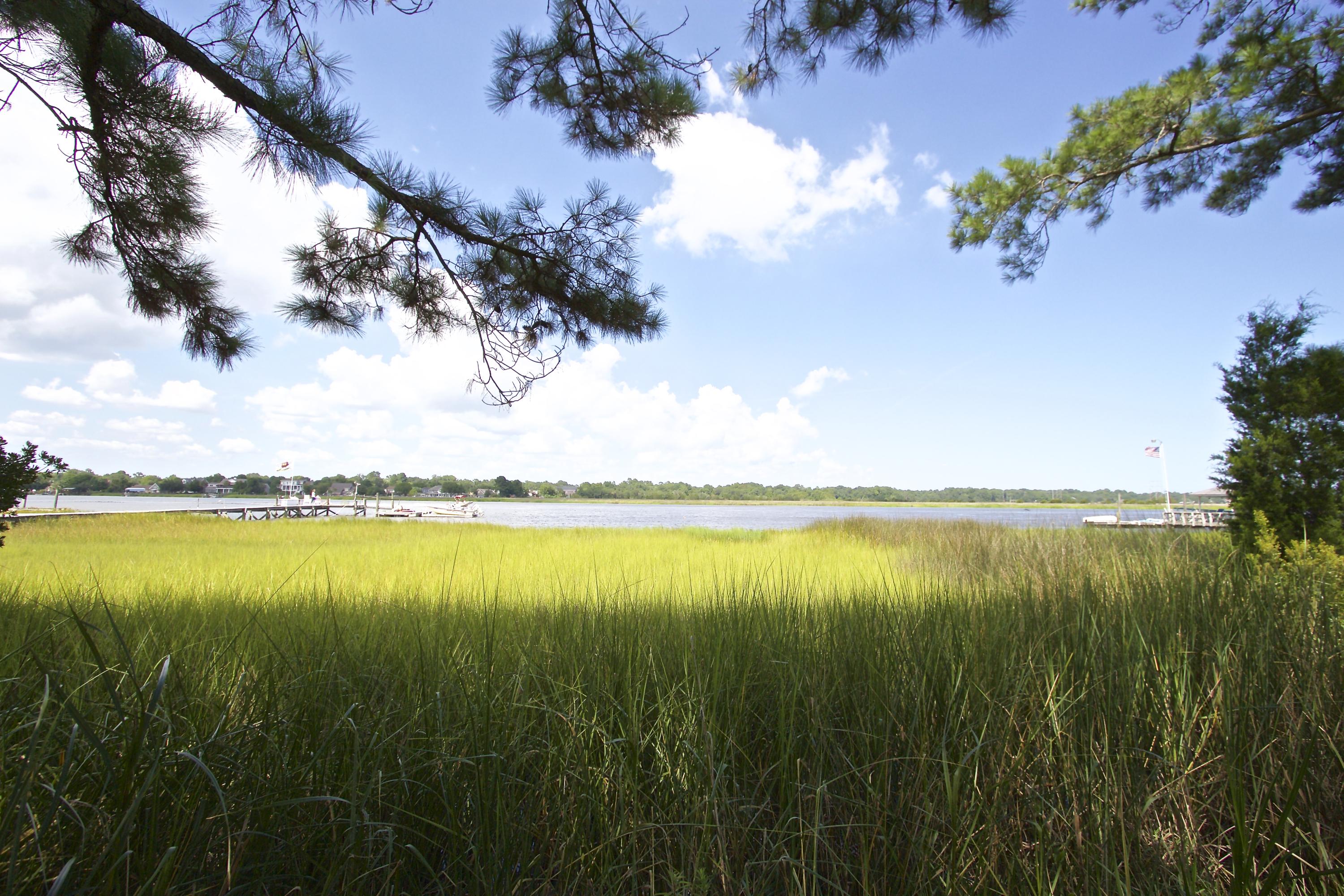 2842 Harvard Road Charleston, SC 29414 - Photo 25 of 31 IMG_2209