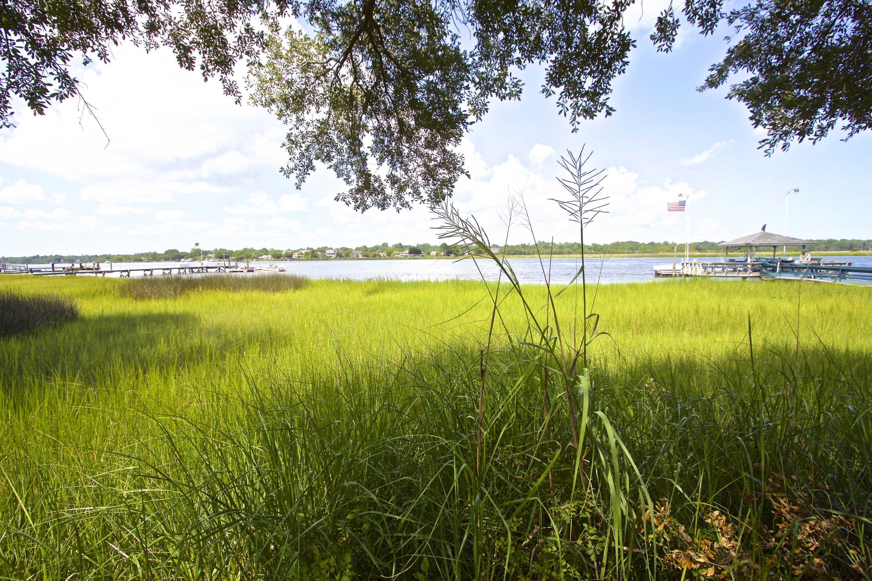 2842 Harvard Road Charleston, SC 29414 - Photo 26 of 31 IMG_2216