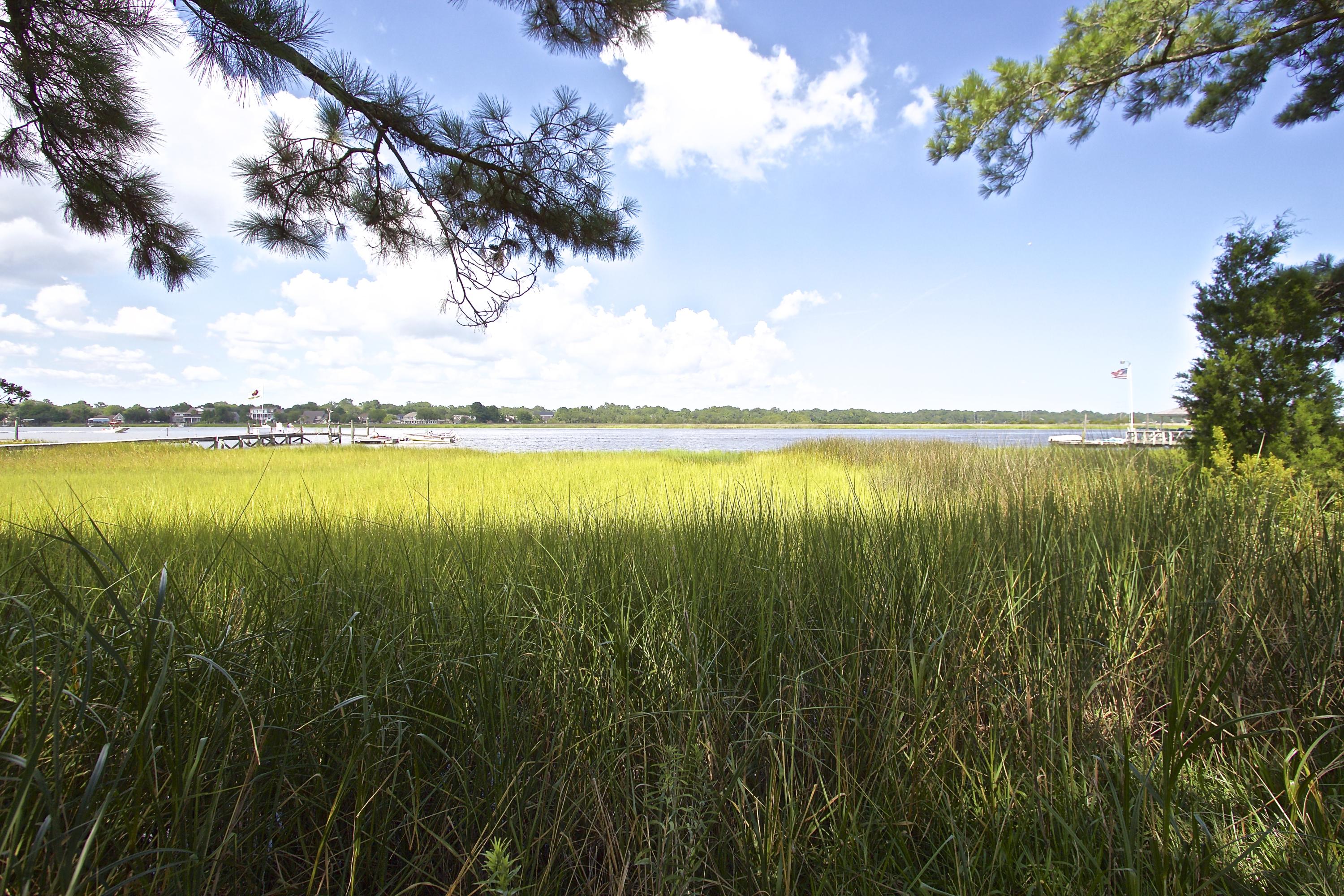 2842 Harvard Road Charleston, SC 29414 - Photo 27 of 31 IMG_2205