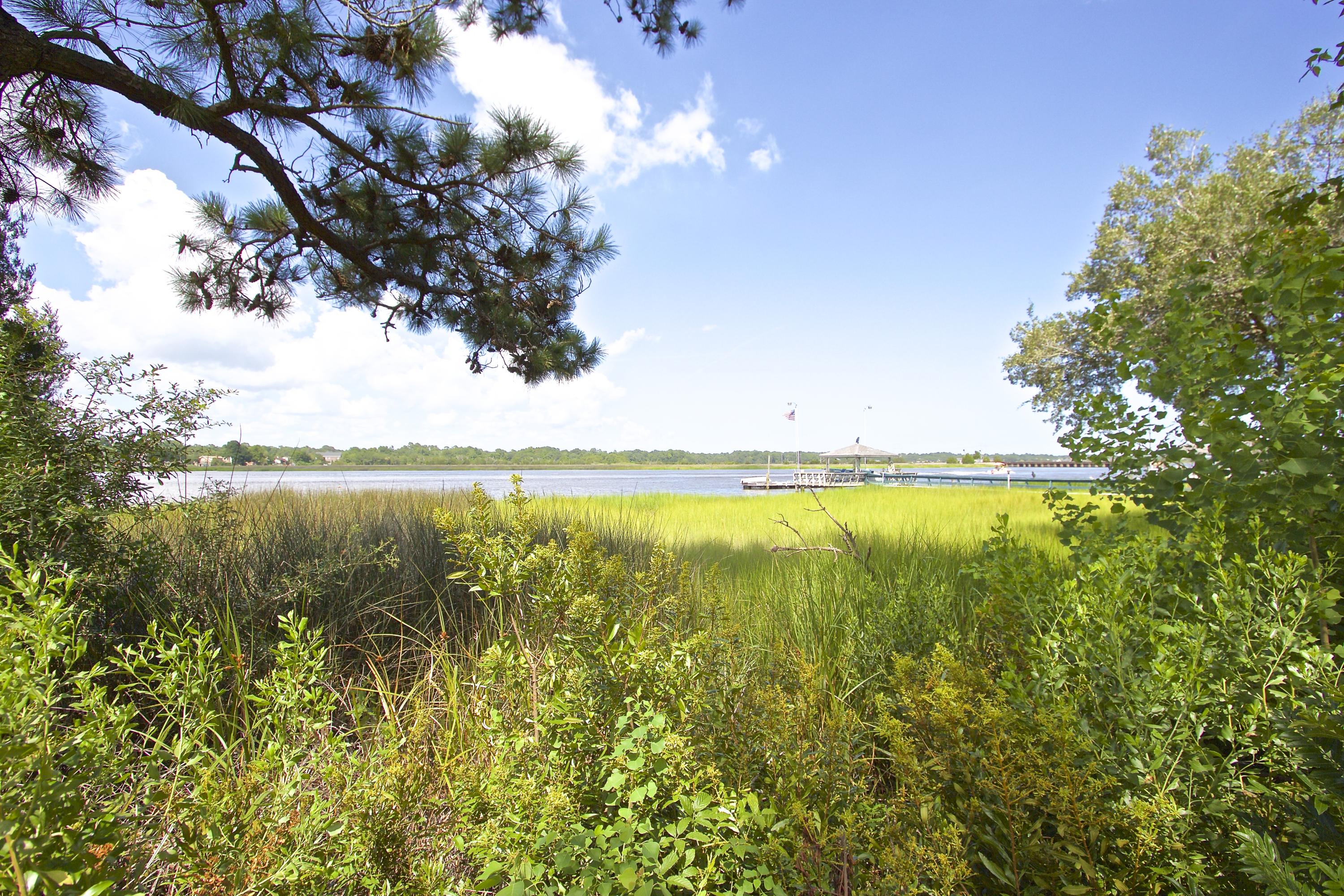 2842 Harvard Road Charleston, SC 29414 - Photo 28 of 31 IMG_2212