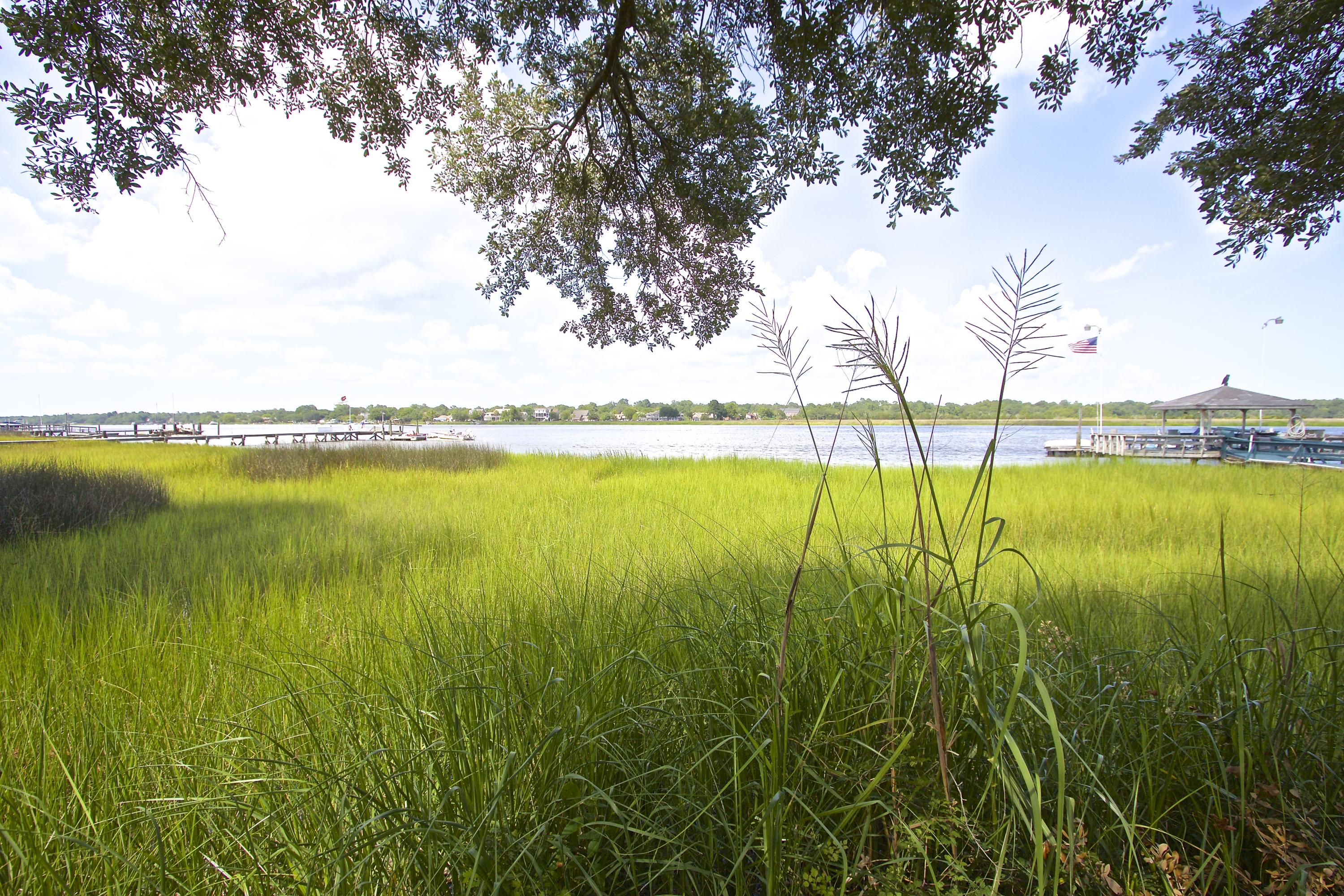2842 Harvard Road Charleston, SC 29414 - Photo 29 of 31 IMG_2214
