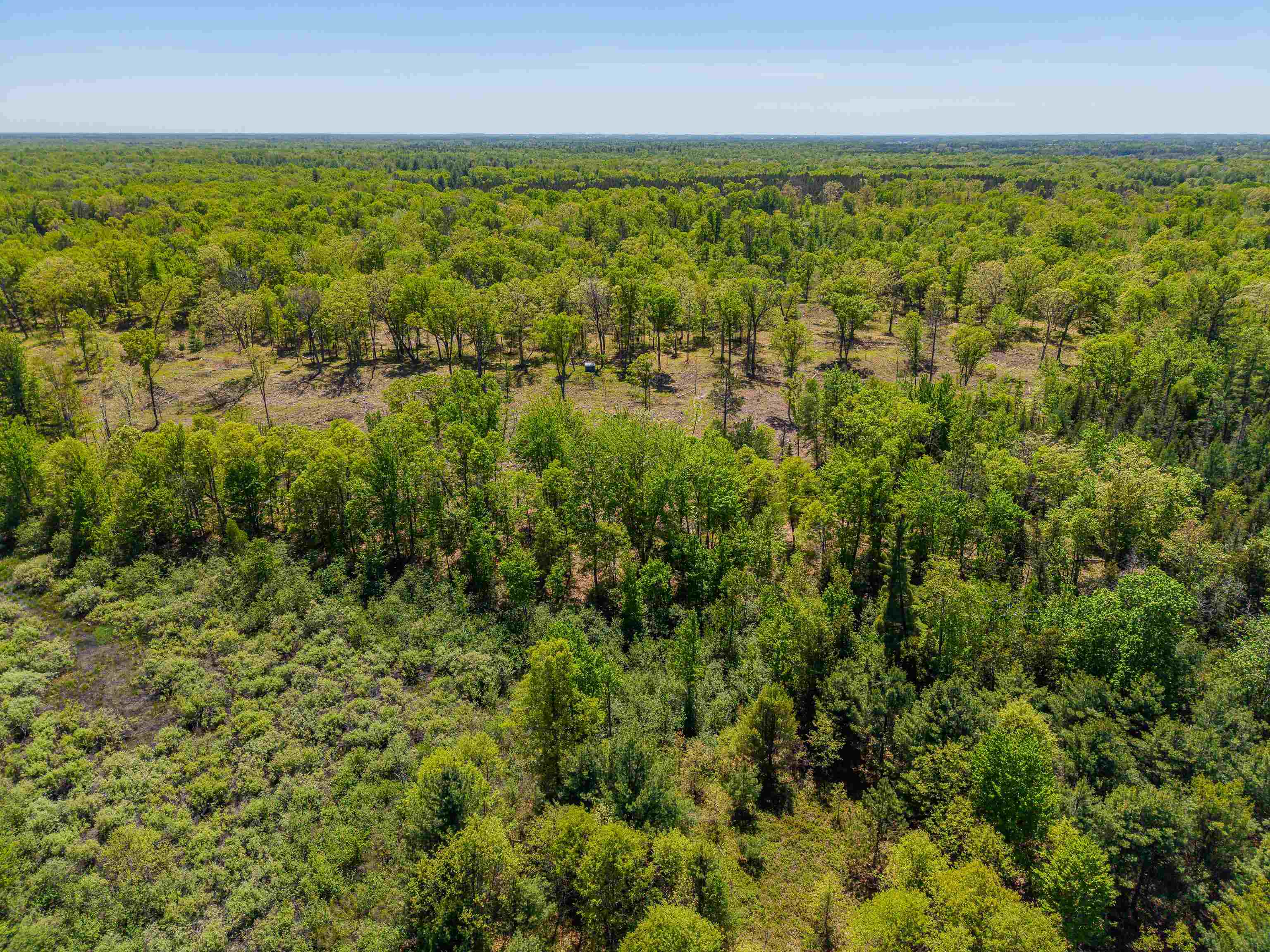 240 Hilts Road Gladwin, MI 48624 - Photo 66 of 97