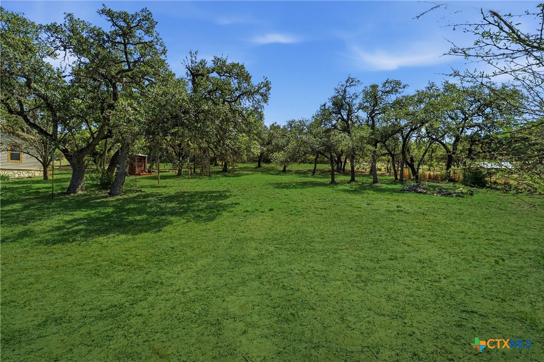 1010 Nightingale Spring Branch, TX 78070 - Photo 2 of 2 a view of a grassy field with trees