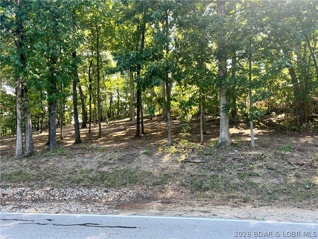 Lot 31 Willow Ridge Road Lake Ozark, MO 65049 - Photo 7 of 12 Gallery Image 7