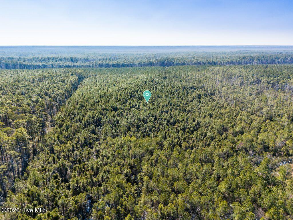 0 North Bilfinger Road Havelock, NC 28532 - Photo 9 of 14 craven 13