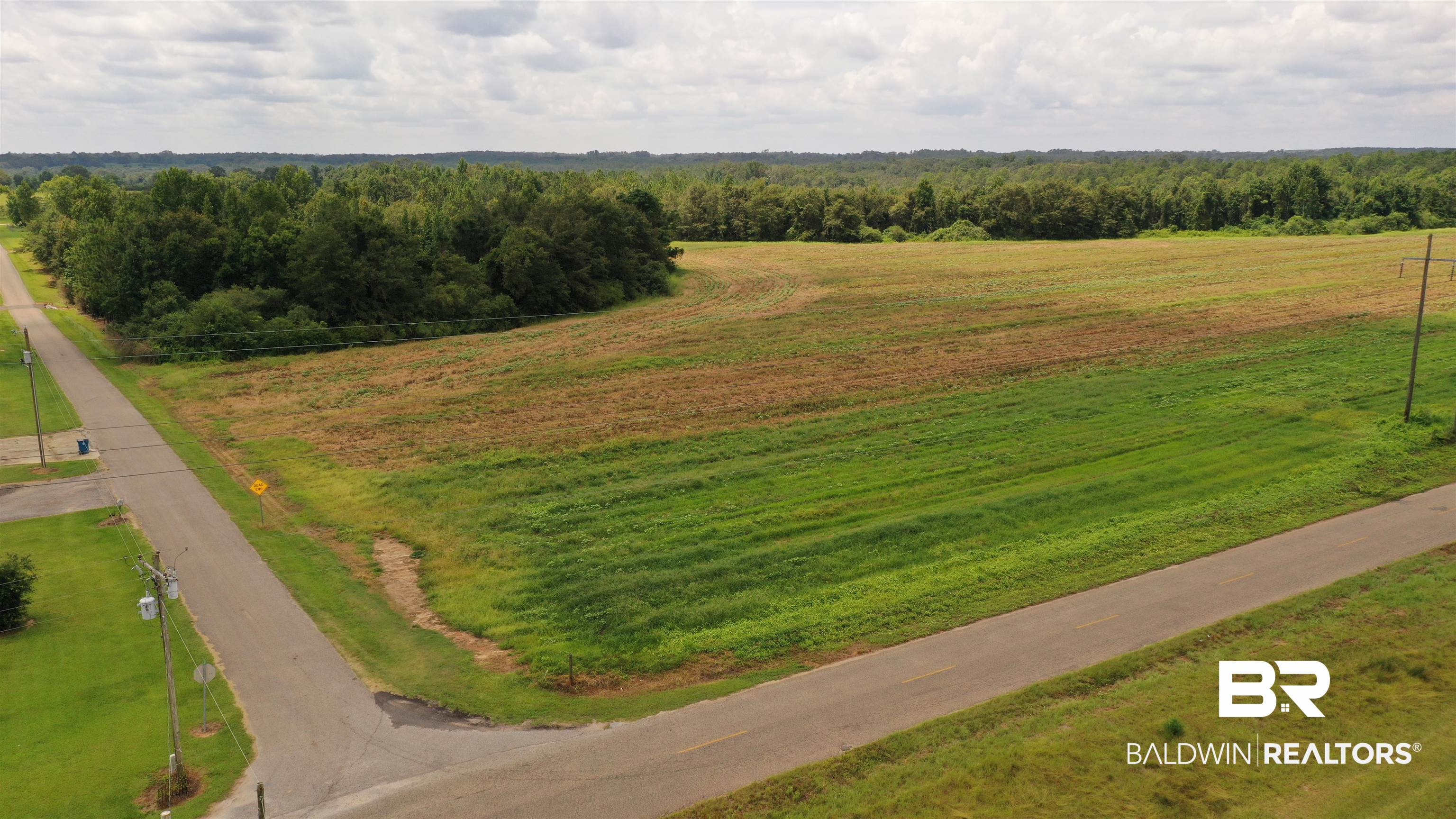 234 Moye Drive Atmore, AL 36502 - Photo 4 of 49