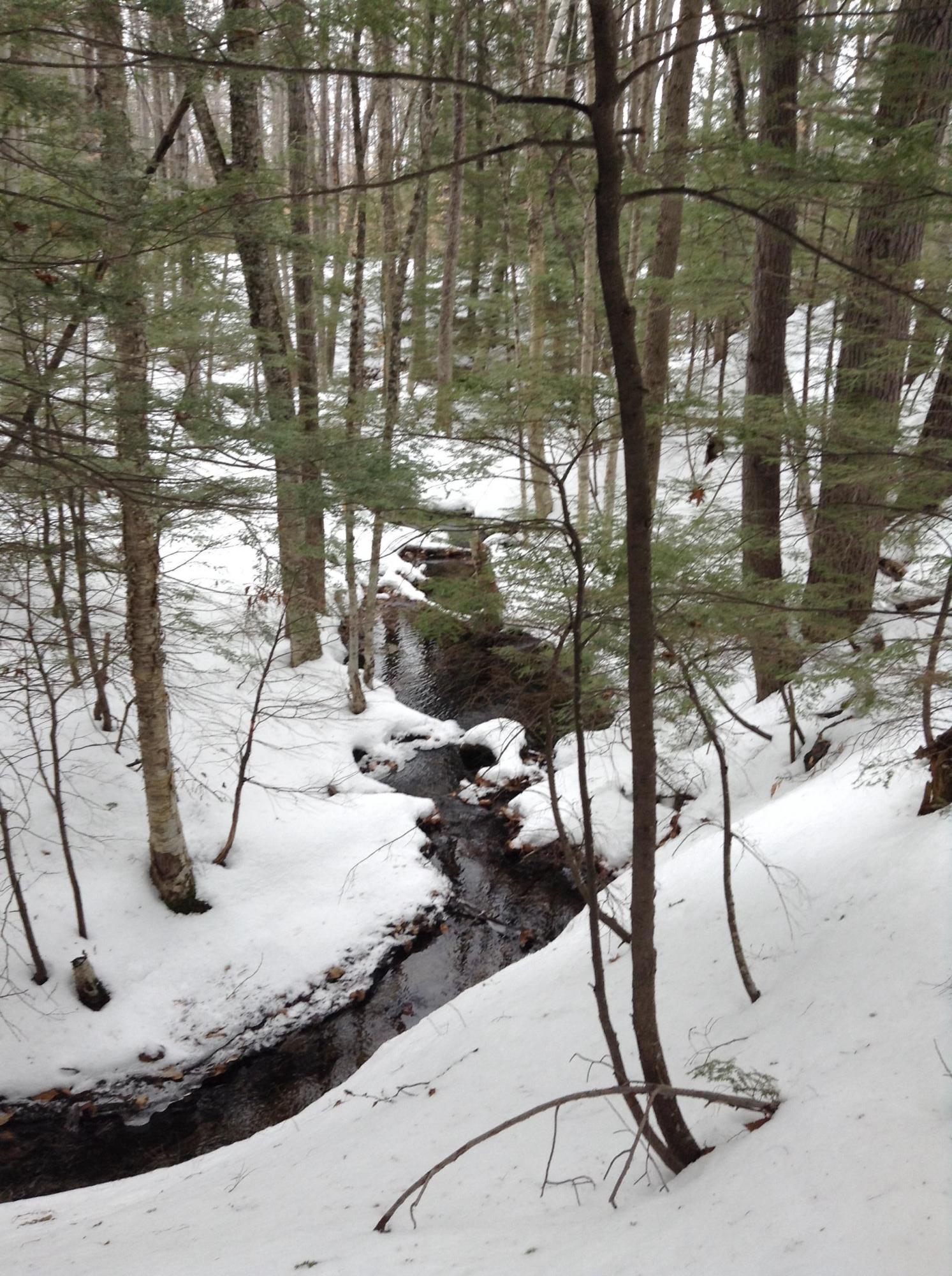 406 Ladd Road Mercer, ME 04957 - Photo 70 of 72 BrookInWinter