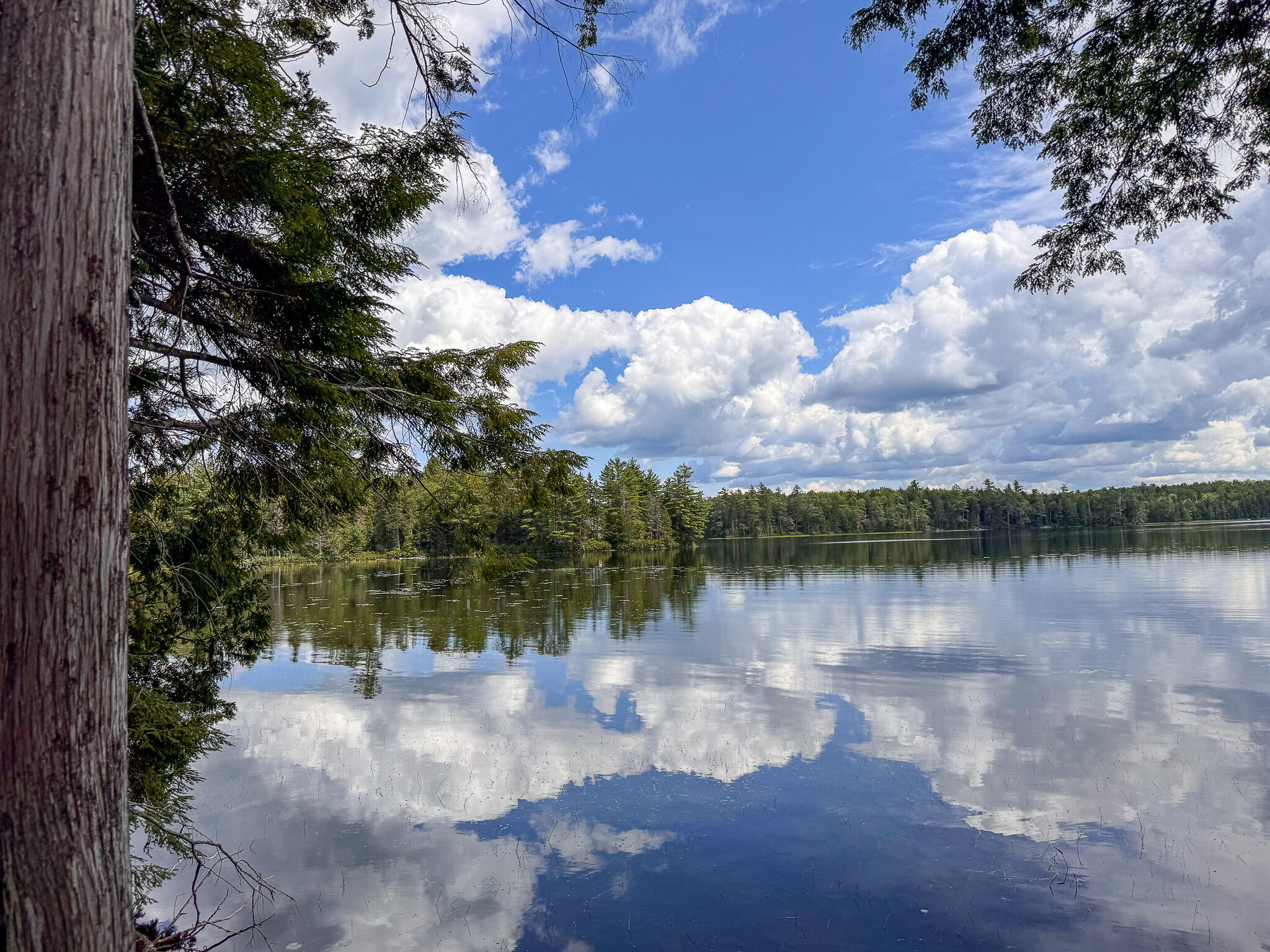 Lot 114 Long Lake Road Wesley, ME 04686 - Photo 10 of 21 10