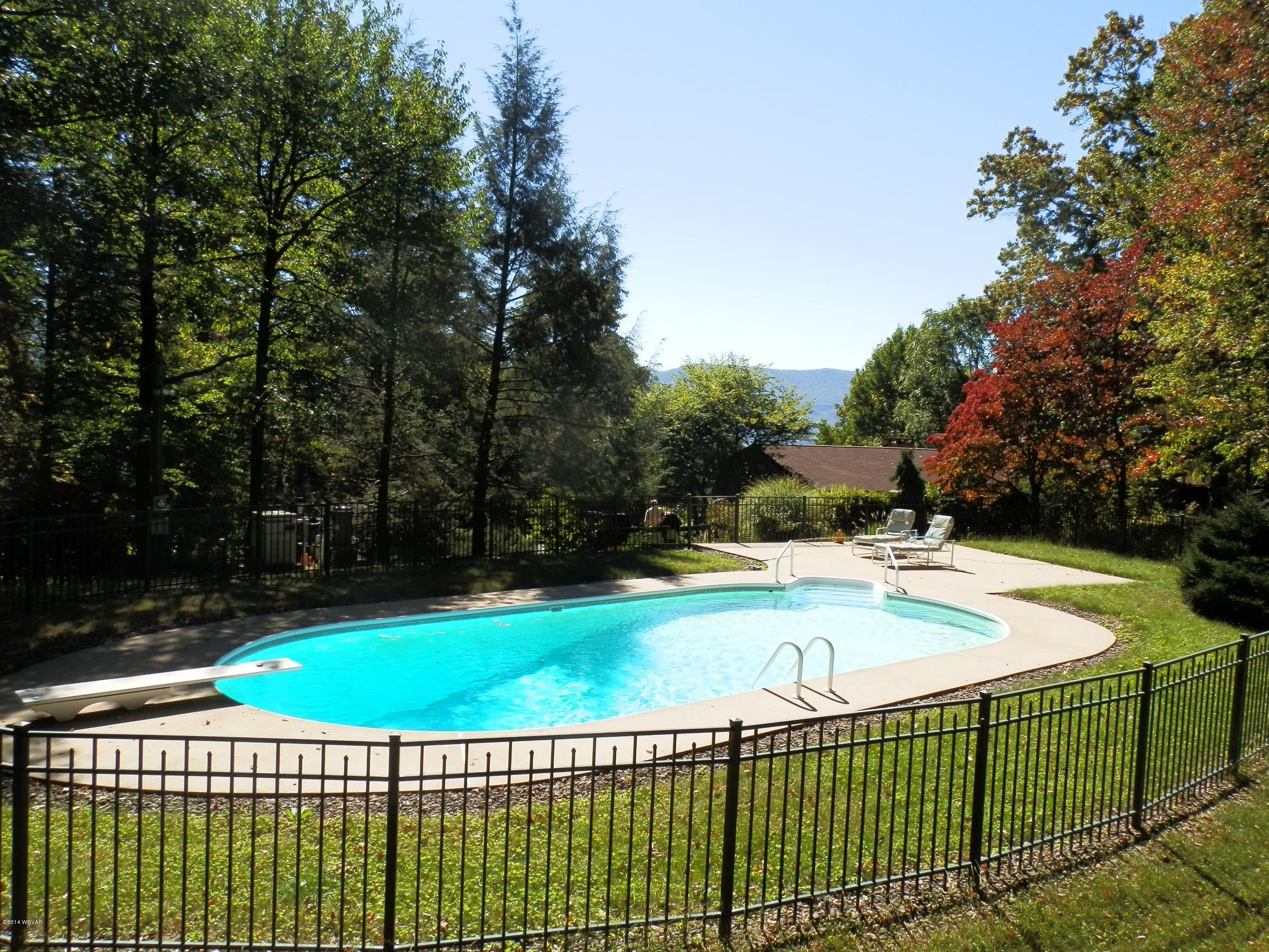 333 Upland Road Williamsport, PA 17701 - Photo 14 of 18 Pool Looking South