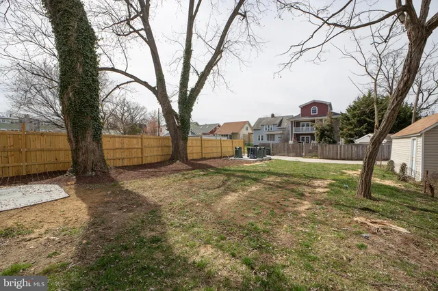 a view of backyard with tree