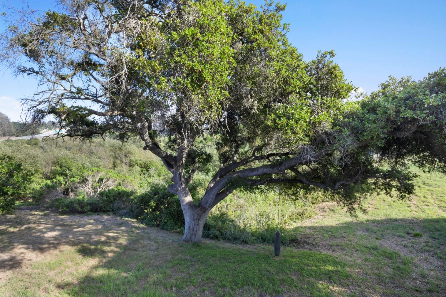 1600 Ranport Road Watsonville, CA 95076 - Photo 44 of 61 Gallery Image 44