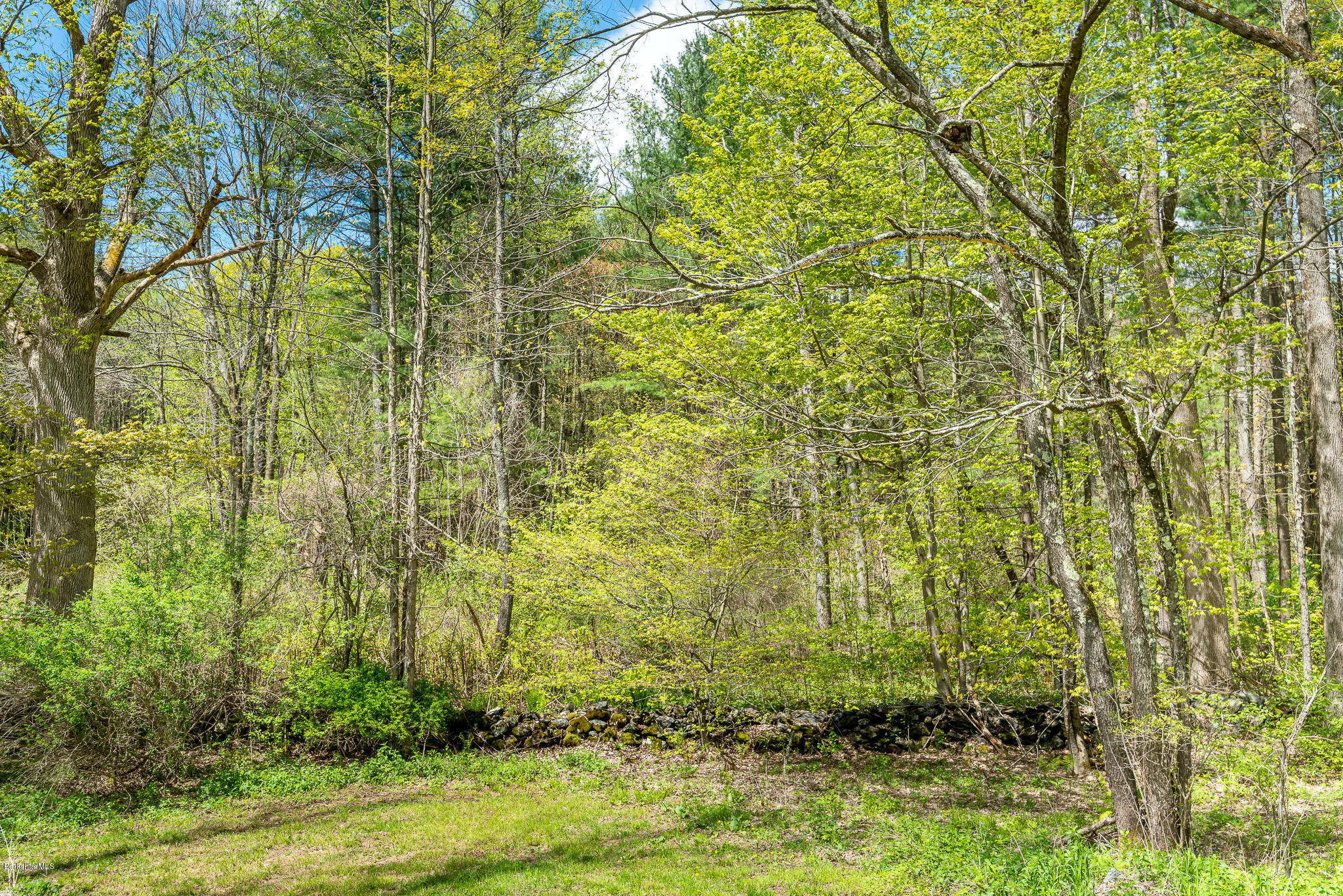 292 Great Barrington Road West Stockbridge, MA 01236 - Photo 40 of 47 Back Yard