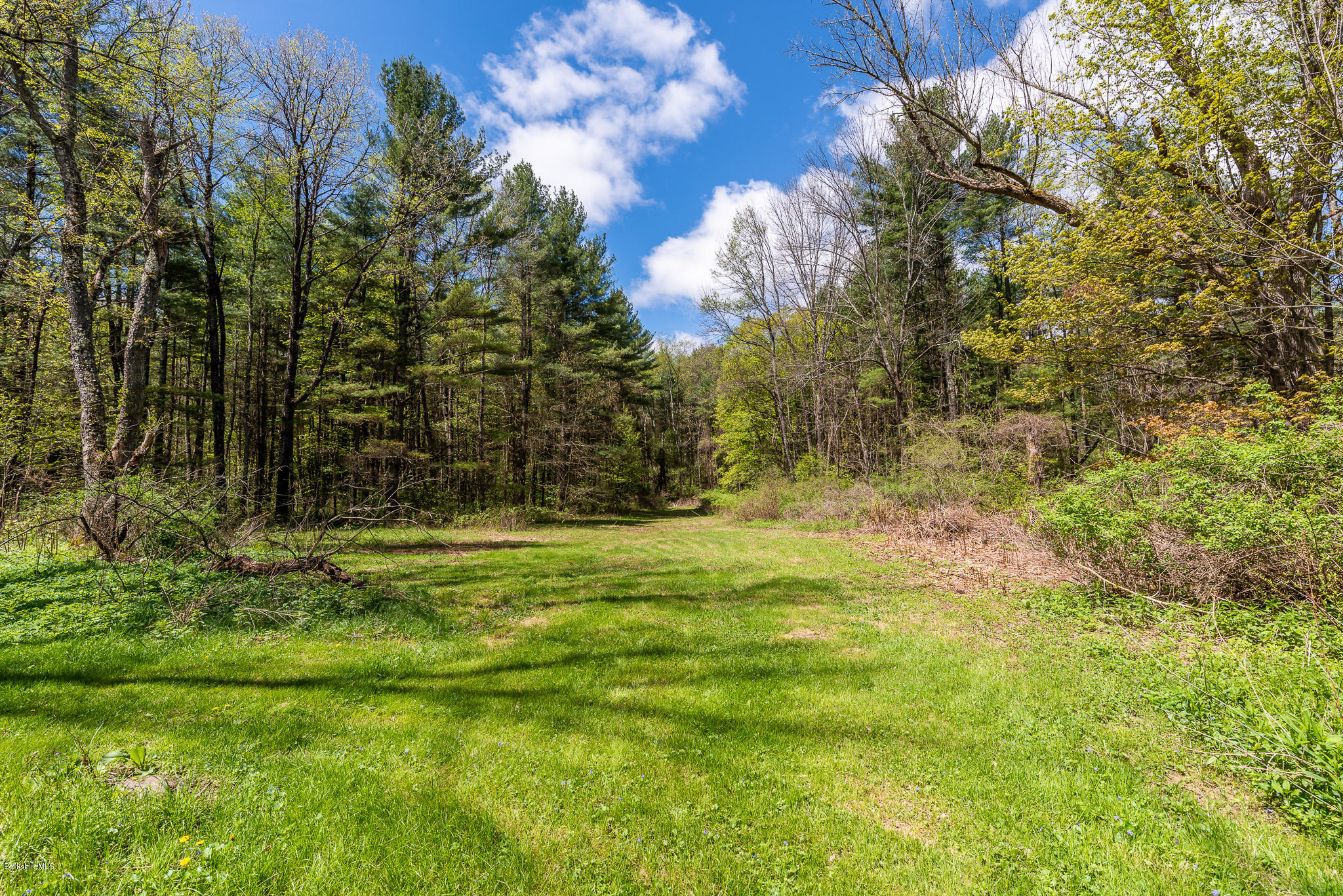 292 Great Barrington Road West Stockbridge, MA 01236 - Photo 41 of 47 Back Yard
