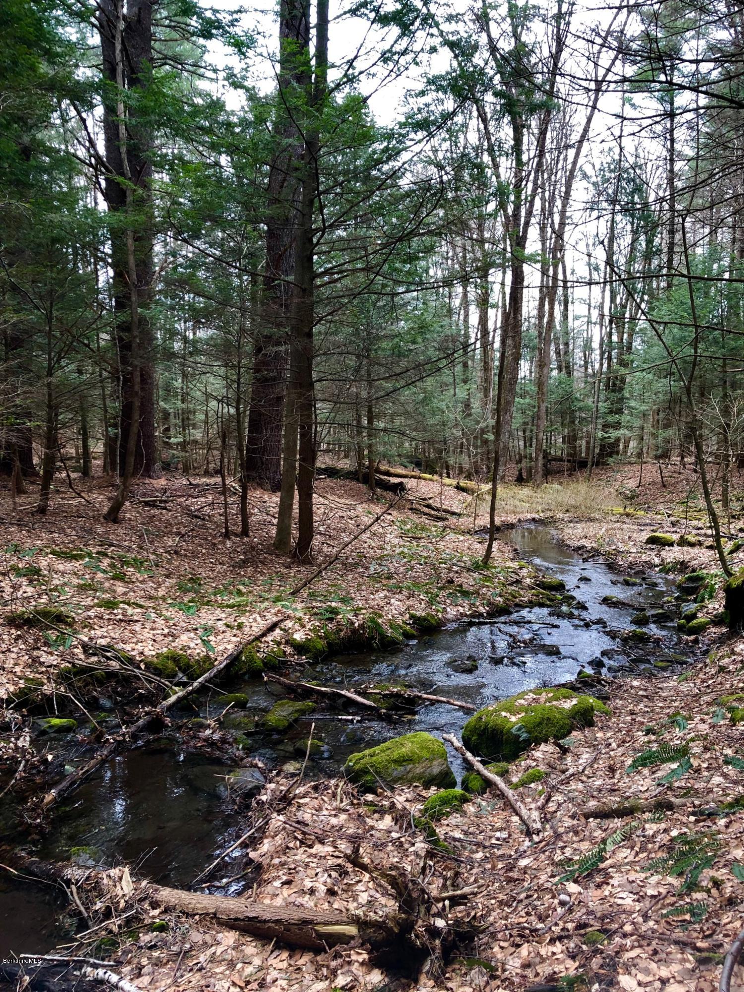 292 Great Barrington Road West Stockbridge, MA 01236 - Photo 42 of 47 Stream