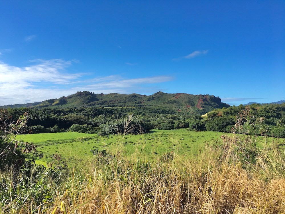 173 Eggerking Road Kapaa, HI 96746 - Photo 11 of 11 a view of a lush green space with sea